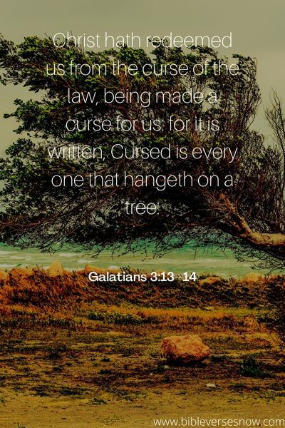 Galatians 3_13–14