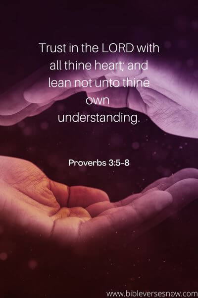 Proverbs 3_5-8