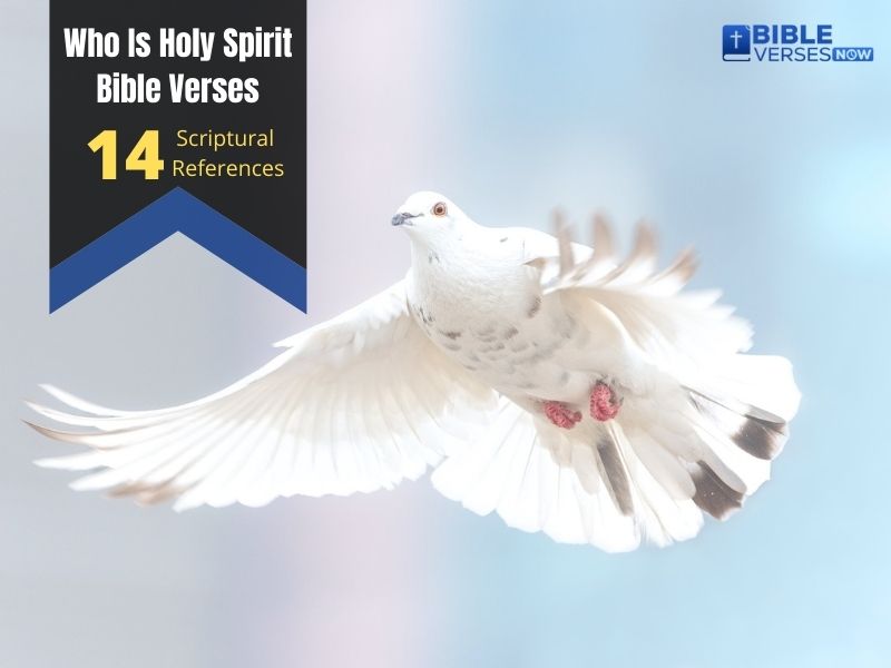 Who Is Holy Spirit Bible Verses