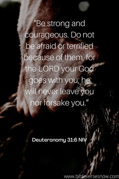 Deuteronomy 31_6 NIV