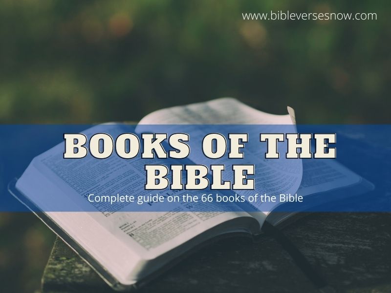 books of the bible
