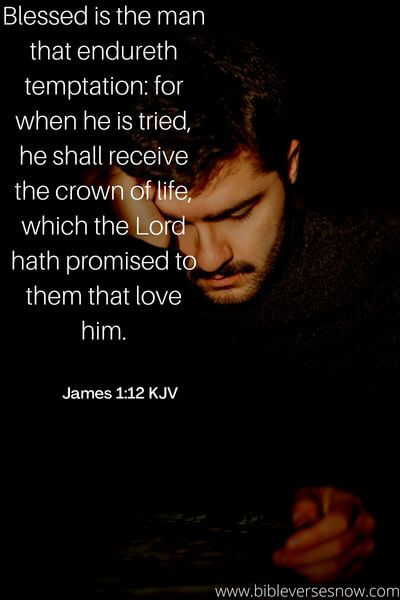 James 1_12 KJV