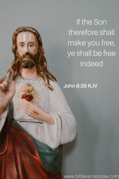 John 8_36 KJV (2)