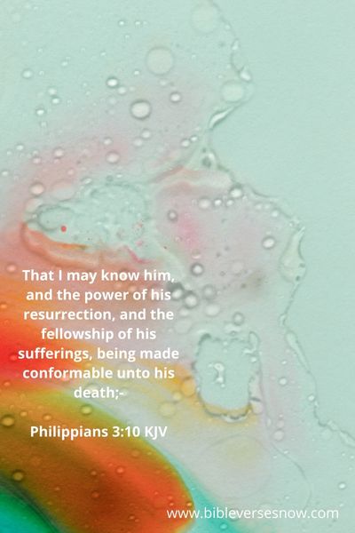 Philippians 310 KJV