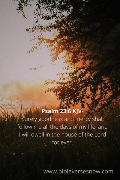 Psalm-23-6-KJV