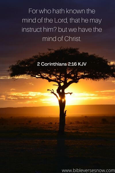 2 Corinthians 2:16 KJV