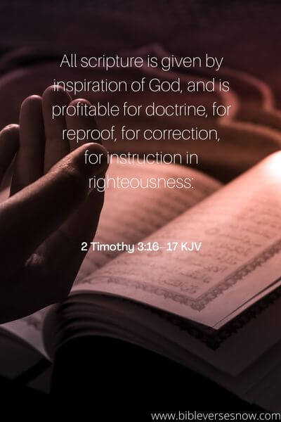 2 Timothy 3:16–17 KJV