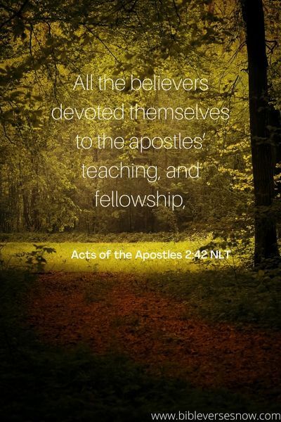 Acts of the Apostles 2:42 NLT