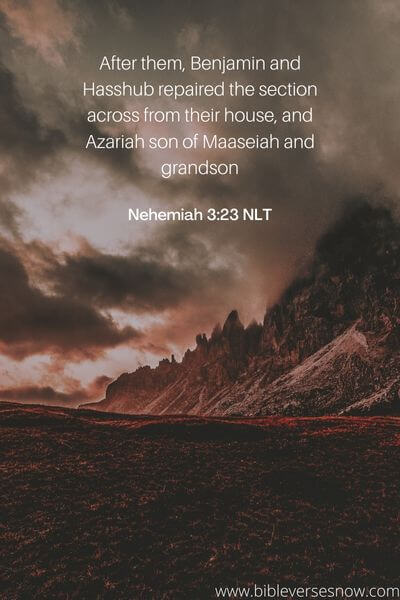 Nehemiah 3:23 NLT