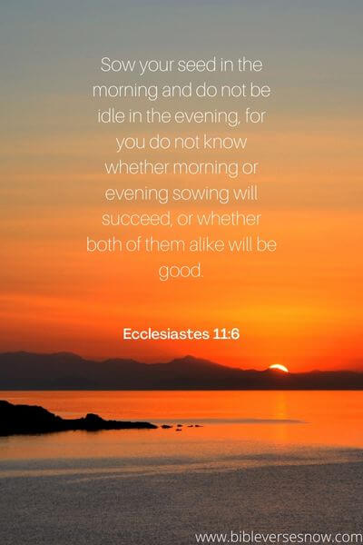 Ecclesiastes 11:6