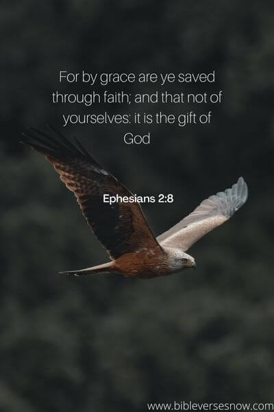 Ephesians 2:8