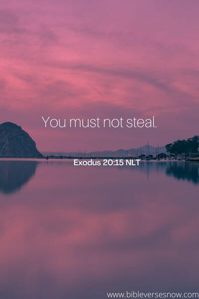 Exodus 20:15 NLT
