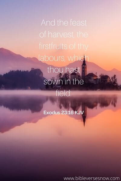 Exodus 23:16 KJV