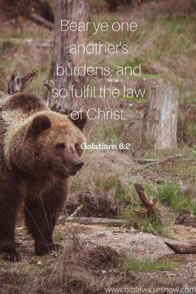 Galatians 6:2