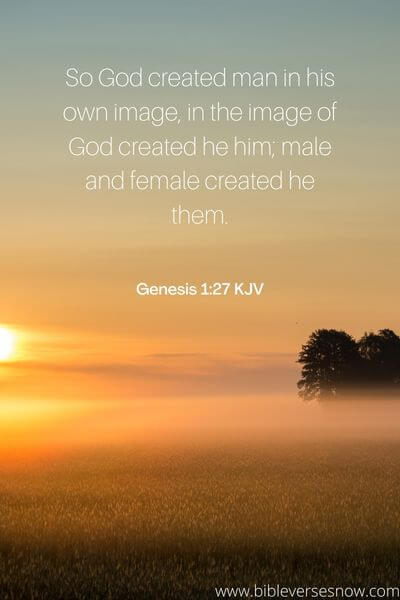 Genesis 1:27 KJV