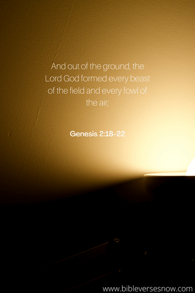 Genesis 2:18-22