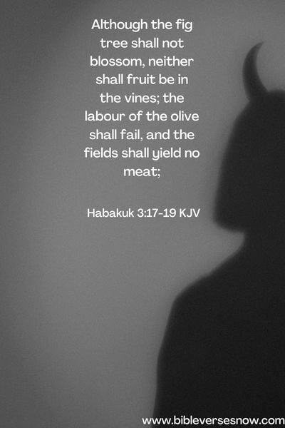 Habakuk 3:17-19 KJV