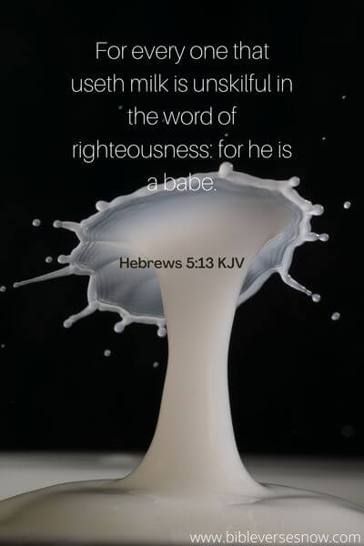 Hebrews 5:13 KJV