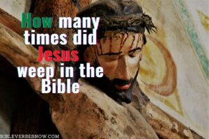 How many times did Jesus weep in the Bible – Bible Verses of the day
