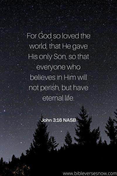 John 3:16 NASB