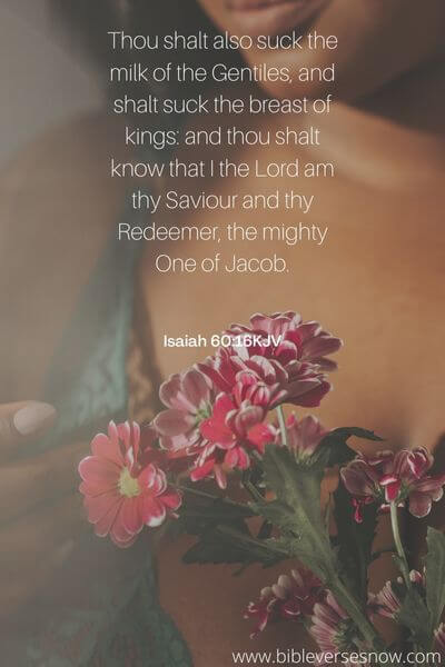 Isaiah 60:16KJV