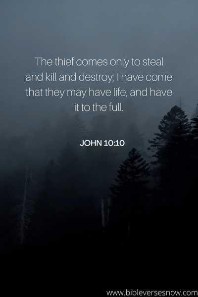  JOHN 10:10