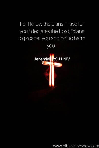 Jeremiah 29:11 NIV