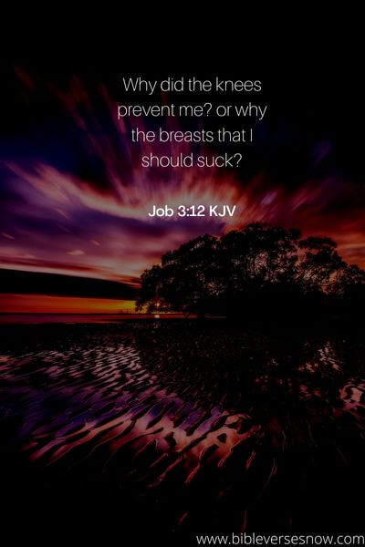 Job 3:12 KJV 