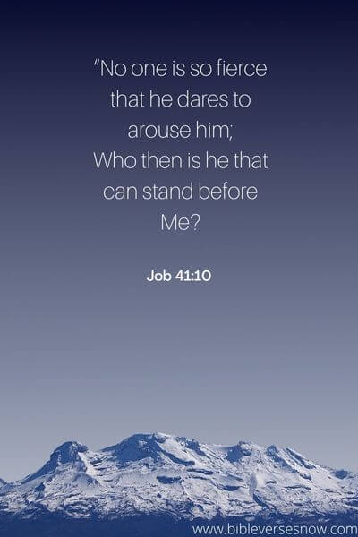 Job 41:10
