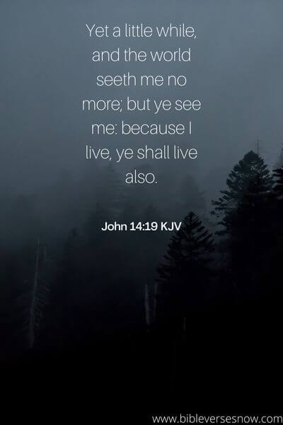 John 14:19 KJV