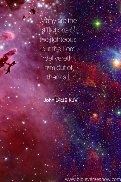 John 14:19 KJV