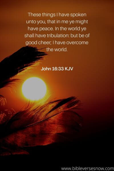 John 16:33 KJV