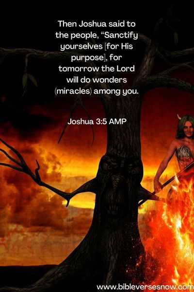 Joshua 3:5 AMP