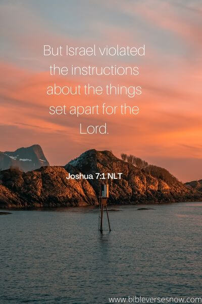 Joshua 7:1 NLT