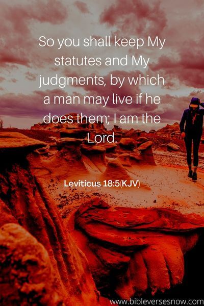 Leviticus 18_5(KJV)