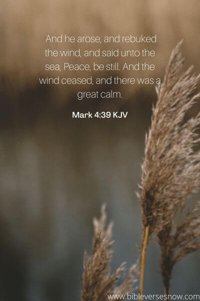 Mark 4:39 KJV