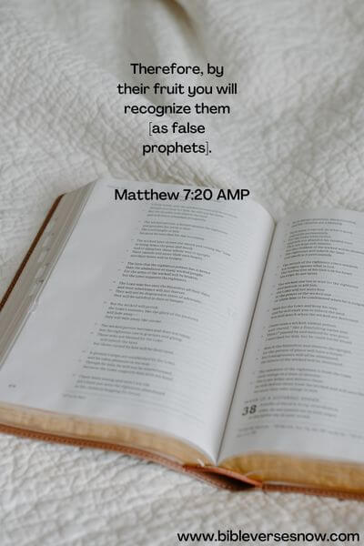 Matthew 7:20 AMP