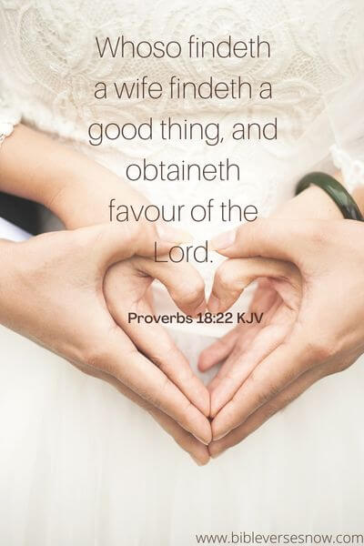 Proverbs 18:22 KJV