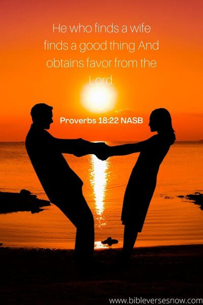 Proverbs 18:22 NASB