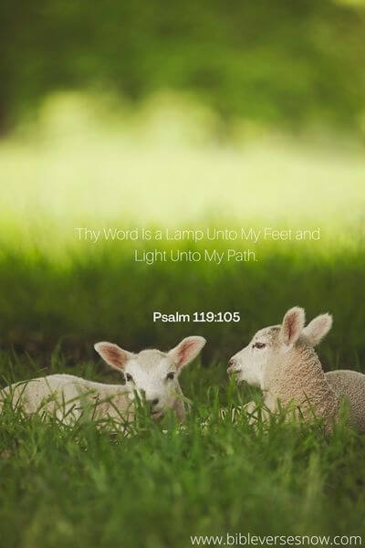 Psalm 119:105