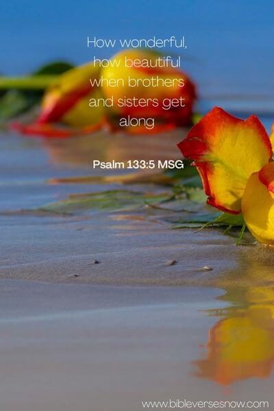  Psalm 133:5 MSG