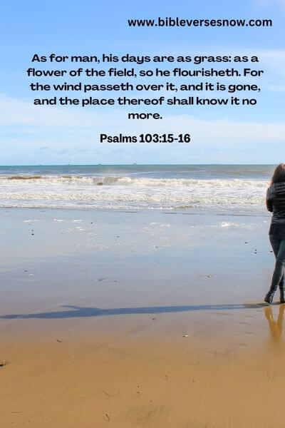 Psalms 103:15-16