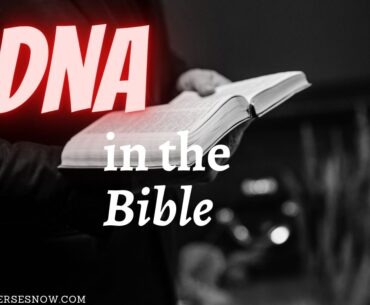 dna in the bible