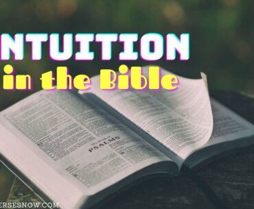 intuition in the bible