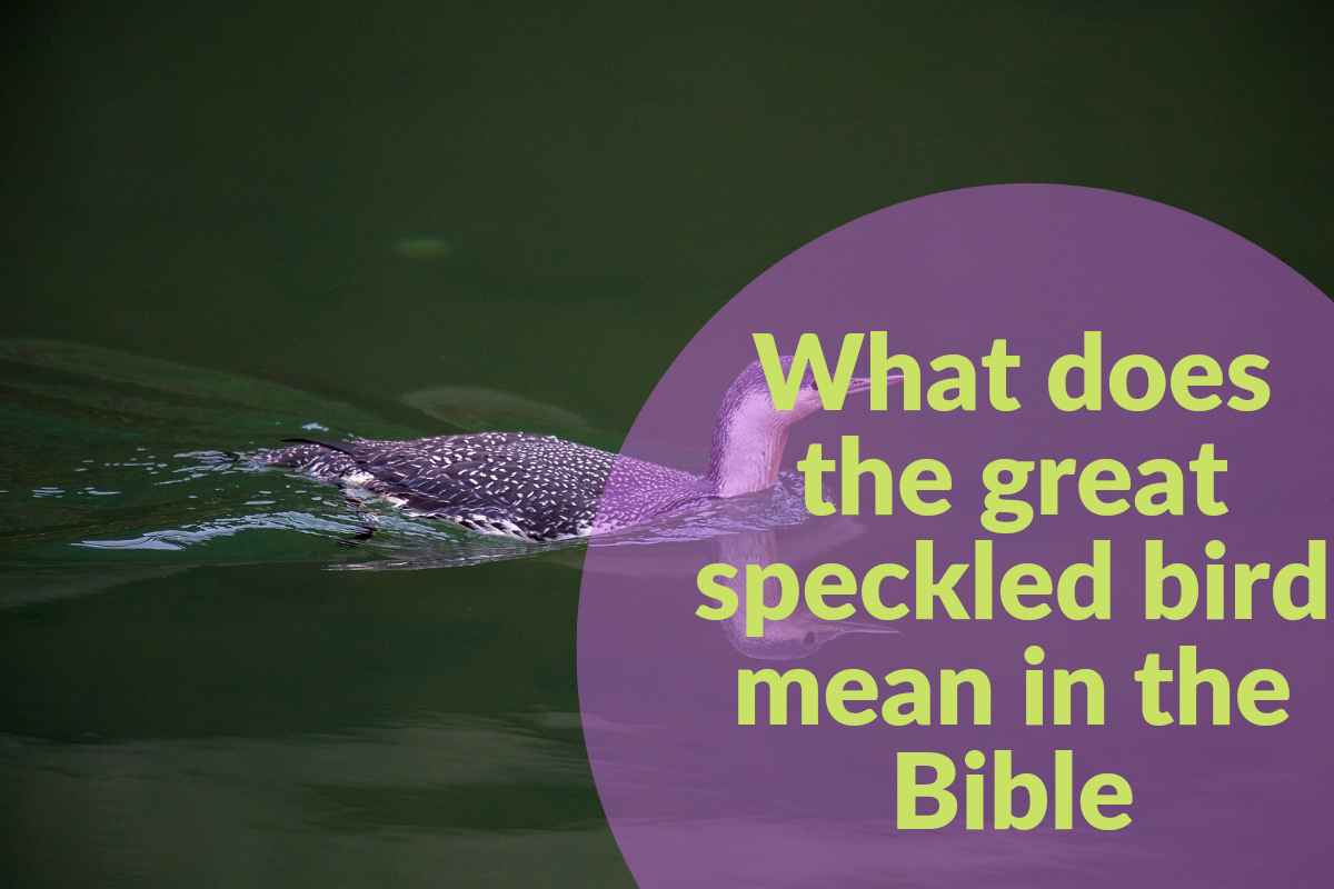 What does the great speckled bird mean in the bible