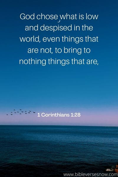 1 Corinthians 1_28