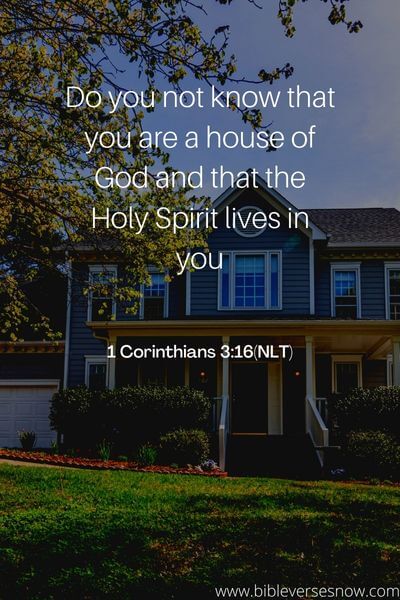 1 Corinthians 3_16(NLT)