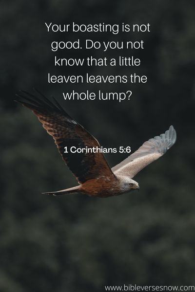 1 Corinthians 5 6