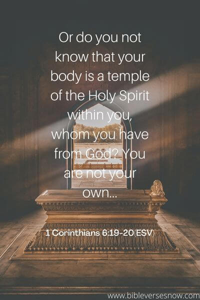 1 Corinthians 6_19-20(ESV)