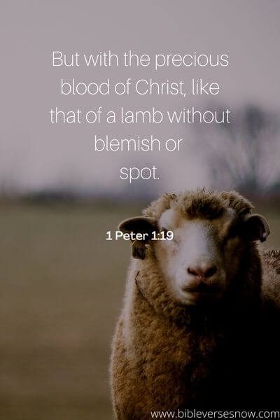 1 Peter 1_19